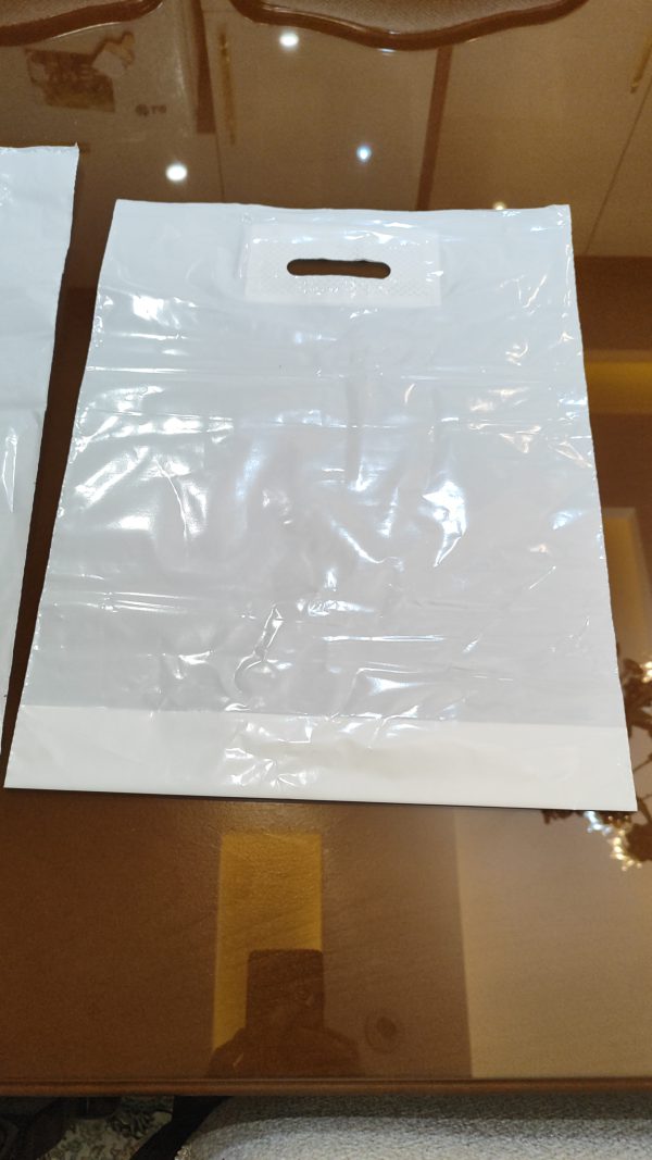 IMG 20260108 WA0007 600x1067